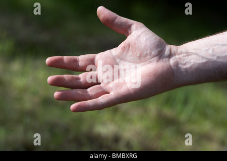 L'uomo tenendo fuori mano per la luce del sole in un giardino di erba in background Foto Stock