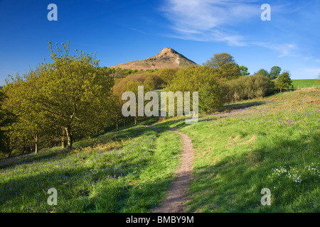 Roseberry Topping, una delle colline di Cleveland, visto qui in una limpida giornata di primavera, vicino grande Ayton, North Yorkshire, Regno Unito Foto Stock