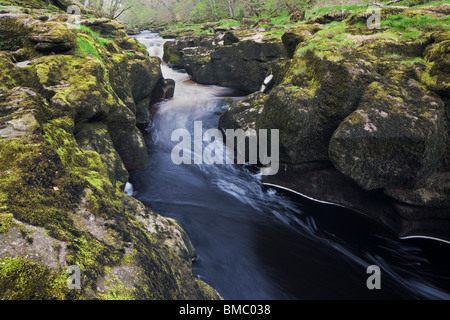 L 'hotel Astrid, il fiume Wharfe è forzata attraverso uno stretto canale di calcare qui sul Bolton Abbey Estate, Yorkshire Dales, REGNO UNITO Foto Stock