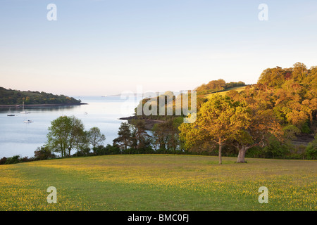 Alba si affaccia sul fiume Fal, Cornwall R.U. Foto Stock