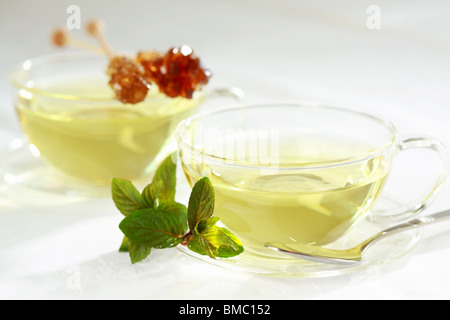 Due tazze di verde il tè alle erbe con bastoncino di zucchero Foto Stock