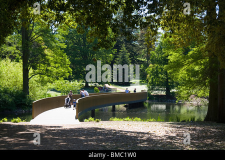 Sackler Crossing Kew Gardens Londra Inghilterra Foto Stock