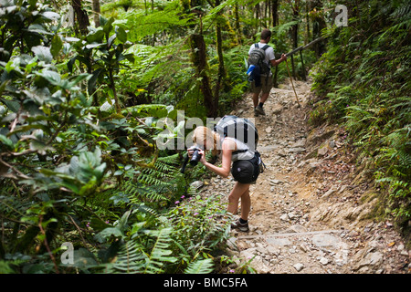 Gli escursionisti sul Mt Kinabalu summit trail. Kinabalu National Park, Sabah Borneo Malese. Foto Stock