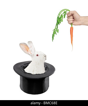 Una vista di un coniglio in un cappello a cilindro e una mano che tiene una carota Foto Stock
