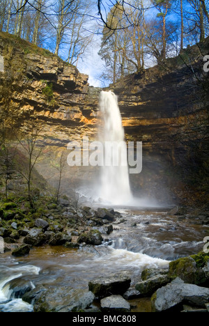 Forza Hardraw, Wensleydale, North Yorkshire, Inghilterra, Foto Stock