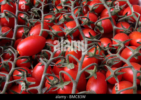 Abstract di pomodori esposti per la vendita in negozio da un mercato Foto Stock