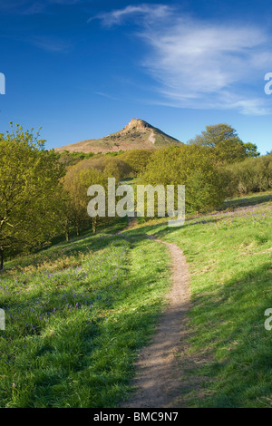 Roseberry Topping, una delle colline di Cleveland, visto qui in una limpida giornata di primavera, vicino grande Ayton, North Yorkshire, Regno Unito Foto Stock