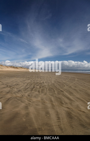 Una vista guardando verso sud lungo Ninety Mile Beach, Nuova Zelanda Foto Stock