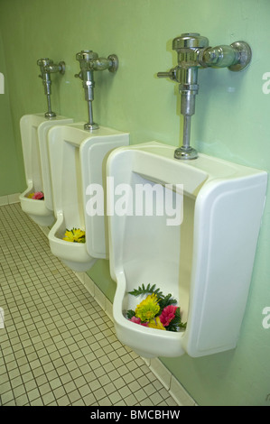 Prendere le donne più degli uomini del bagno e installare i fiori in orinatoi Foto Stock