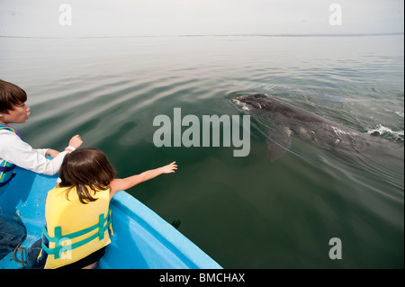 Bambini Avvistamento di Balene Foto Stock