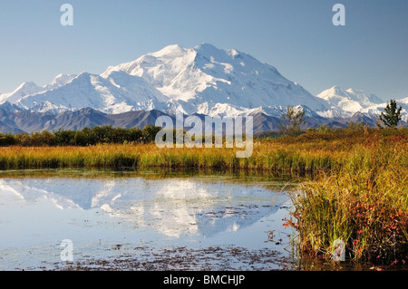 Monte McKinley, Parco Nazionale e Riserva di Denali, Alaska, STATI UNITI D'AMERICA Foto Stock