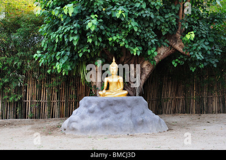 Statua del Buddha, Wat Phan Tao, Chiang Mai, Thailandia Foto Stock