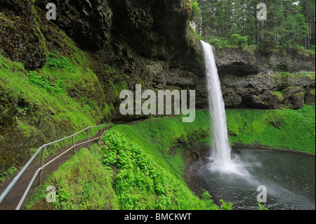 Sud cade, Silver Falls State Park, Marion County, Oregon, Stati Uniti d'America Foto Stock