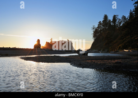 Mare di pile, Ruby Beach, Parco Nazionale di Olympic, nello Stato di Washington, USA Foto Stock