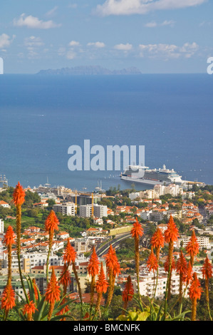 Porto di Funchal con la nave di crociera e città, isola di Madeira, Portogallo, Unione Europea, Europa Foto Stock