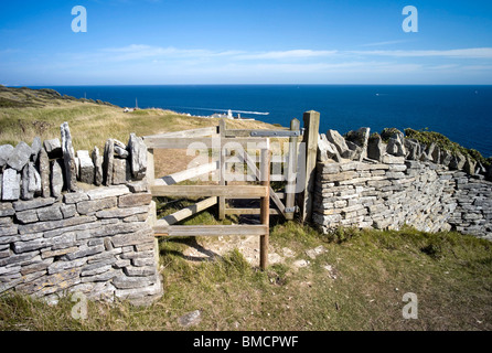 Vista & dal SOUTH WEST COAST PATH nel Dorset. durlston head country park vicino a Swanage Foto Stock