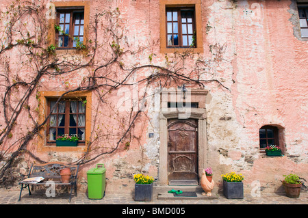 Vecchio carismatico, vite coperta parete rosa con porte e finestre Foto Stock