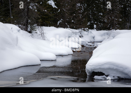 Brook Meadow durante i mesi invernali. Situato lungo il fiume Sawyer Trail in Livermore, New Hampshire USA Foto Stock