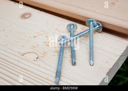 Quattro viti in acciaio su asse di legno. shot orizzontale Foto Stock