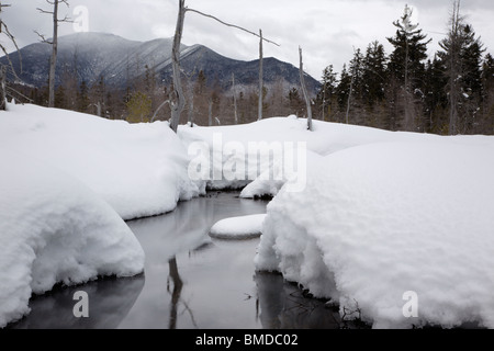 Brook Meadow durante i mesi invernali. Situato lungo il fiume Sawyer Trail in Livermore, New Hampshire USA Foto Stock