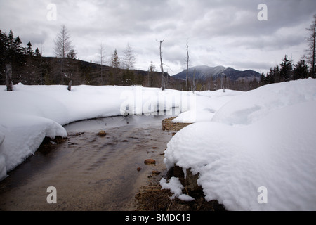 Brook Meadow durante i mesi invernali. Situato lungo il fiume Sawyer Trail in Livermore, New Hampshire USA Foto Stock