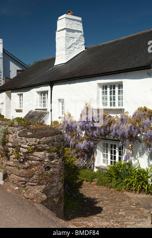 Regno Unito, Inghilterra, Devon, Dittisham, vecchio dipinto di bianco cottage in pietra appeso con il glicine Foto Stock