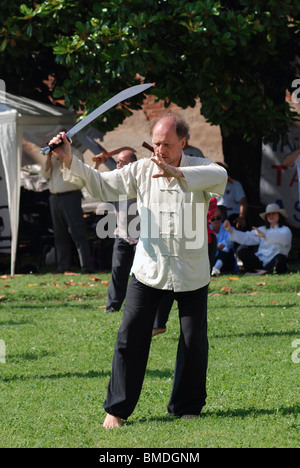 Tai Chi pratica la spada nel parco Foto Stock