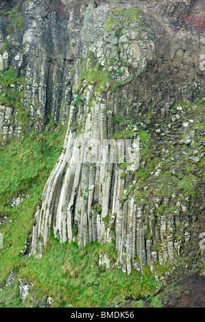 Giant's Arpa, Giant's Causeway, Bushmills, County Antrim, Irlanda del Nord Foto Stock