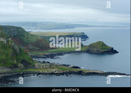 Giant's Causeway, Bushmills, County Antrim, Irlanda del Nord Foto Stock