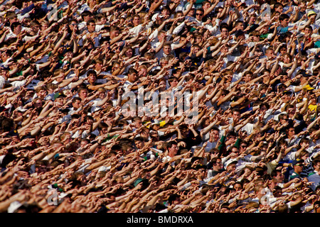 Ventilatori a fare il wave Foto Stock