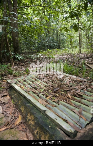 Air Raid Shelter, Tunnel di Cu Chi, Vietnam Asia Foto Stock