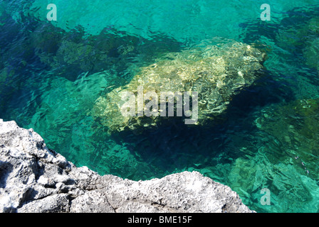 Big Stone sotto trasparenti acque del mar Nero Foto Stock