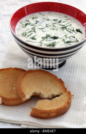 Tarator yogurt zuppa di cetriolo tzatziki Foto Stock