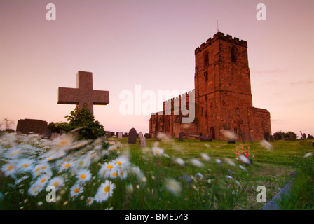 Le lapidi con occhio di bue margherite soffiando nel vento al tramonto Breedon sulla collina chiesa Derbyshire England Regno Unito GB EU Europe Foto Stock