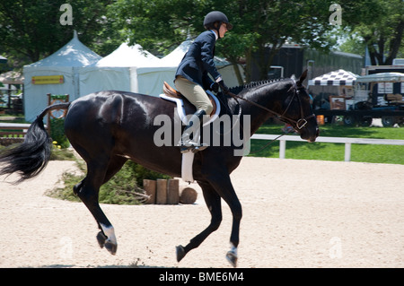 Femmina a jockey evento equestre. Foto Stock