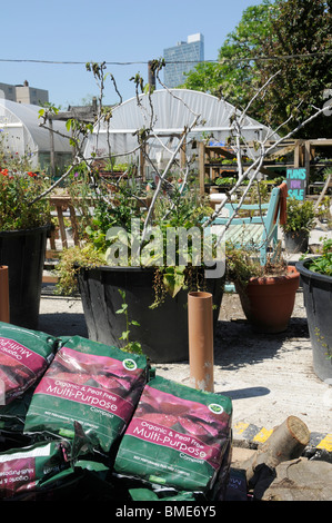 Regno Unito SPITALFIELDS CITY FARM A LONDRA Foto Stock