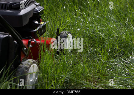 Tosaerba a benzina la falciatura profonda lungo erba ricoperta in un giardino nel Regno Unito Foto Stock