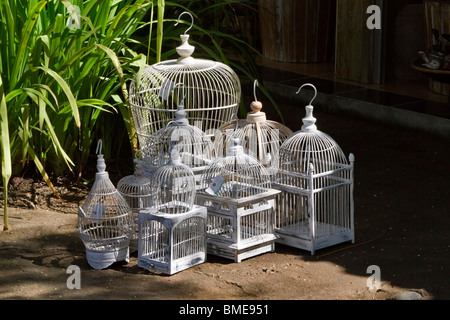 Display del dipinto di bianco di legno bird gabbie in un mercato a Bali, in Indonesia Foto Stock