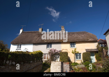 Regno Unito, Inghilterra, Devon, Strete, fila di idilliaco dipinte in colori pastello cottage con il tetto di paglia Foto Stock