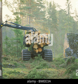 Gru mobile che porta i registri in foresta Foto Stock