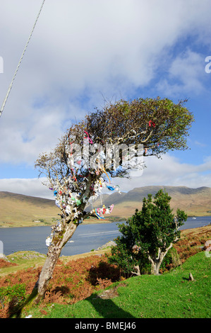 Porto di Killary, nella contea di Galway, Provincia di Connacht, Irlanda Foto Stock