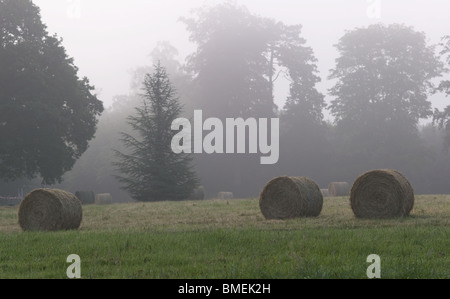 AUDRIEU, FRANCIA Foto Stock