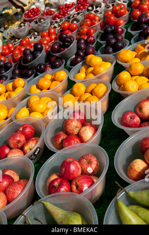 Bocce di mandarini freschi, prugne, pomodori e funghi su un mercato in stallo. Foto Stock