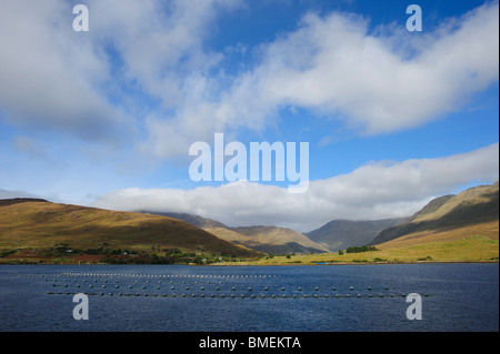 Porto di Killary, nella contea di Galway, Provincia di Connacht, Irlanda Foto Stock