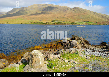 Porto di Killary & Mweelrea Mountain, nella contea di Galway, Provincia di Connacht, Irlanda Foto Stock