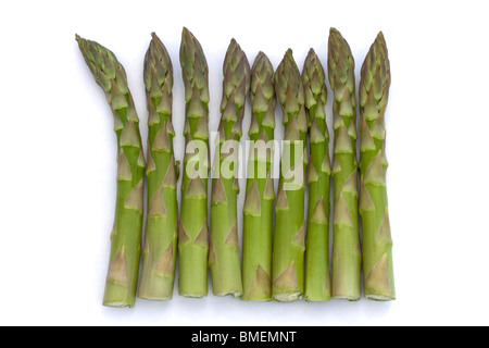 La linea di asparagi spears su sfondo bianco Foto Stock