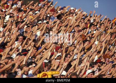 Ventilatori a fare il wave. Foto Stock