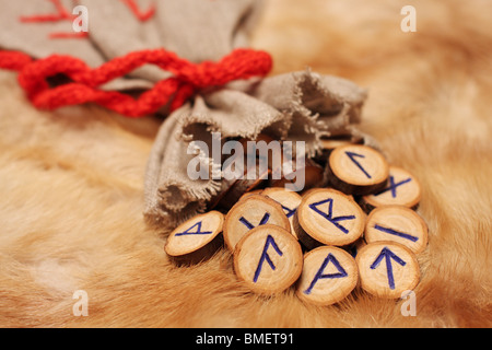 Rune con custodia in pelliccia. Profondità di campo Foto Stock