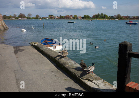 Bosham Harbour, vicino a Chichester, West Sussex, in Inghilterra a pieno di marea, con anatra e cigni Foto Stock