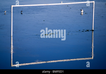 Regole del gioco si riflette in acqua Foto Stock